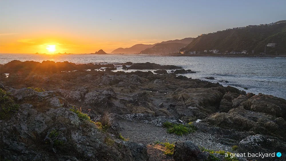 Sunset in Island Bay, Wellington by Corin Walker Bain | a great backyard New Zealand