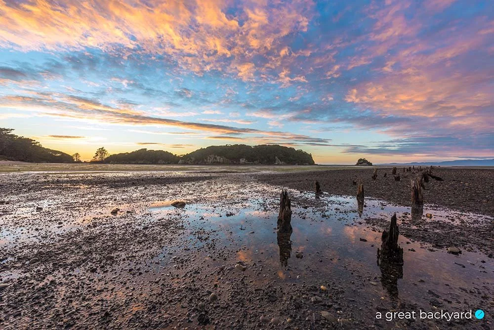 Puponga Dawn by Corin Walker Bain | a great backyard New Zealand landscape prints