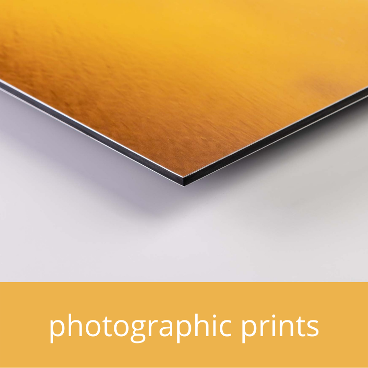 ACM print edge by a great backyard | New Zealand print studio