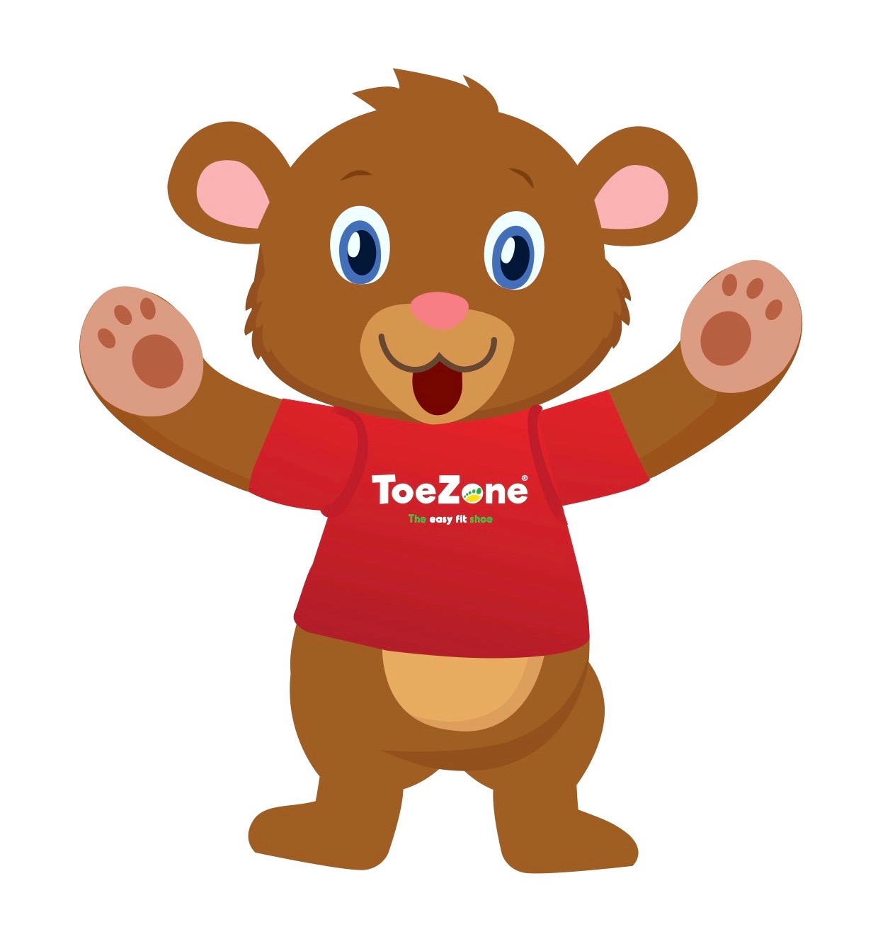 toezone bag.jpg