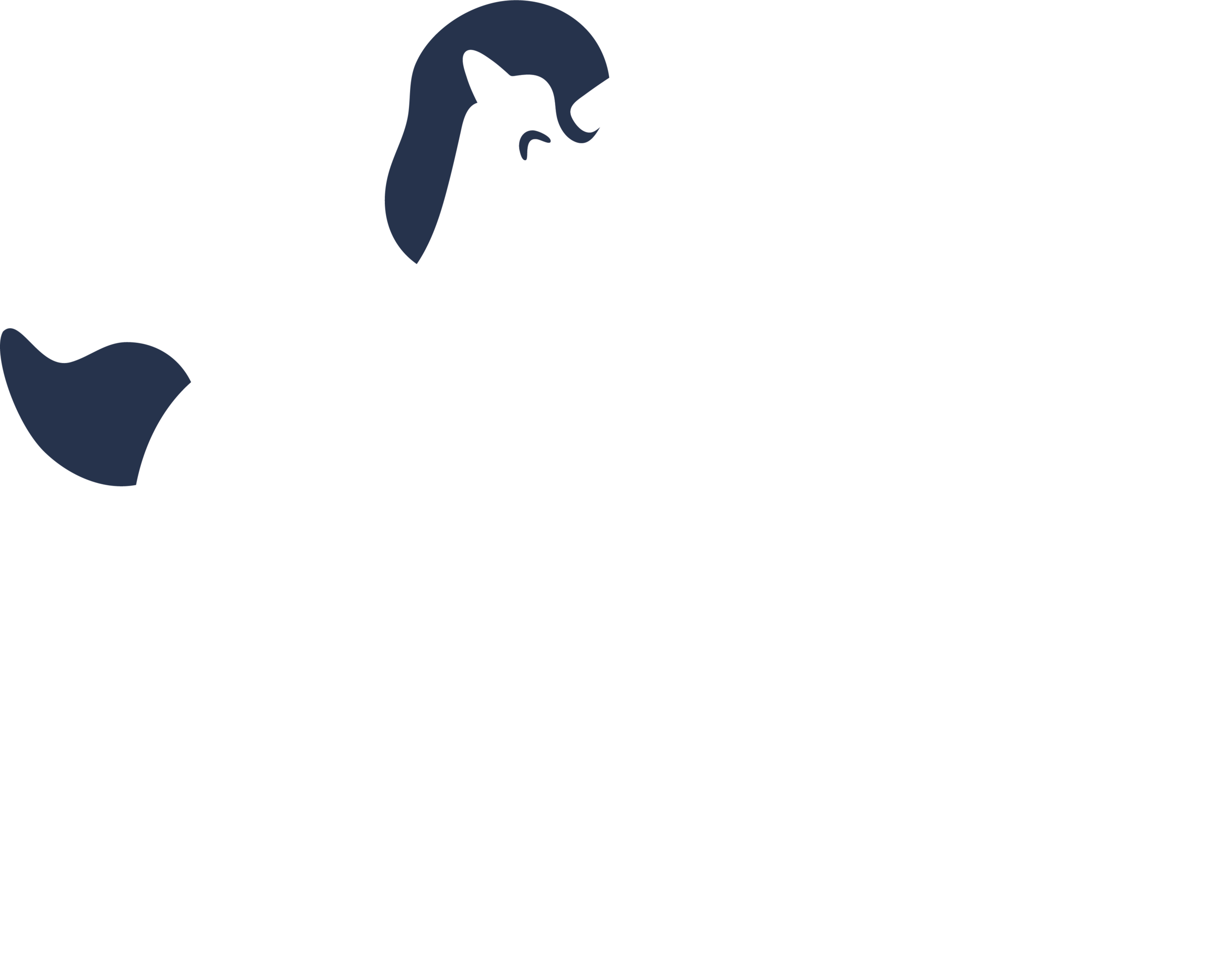 Unicorn Meat