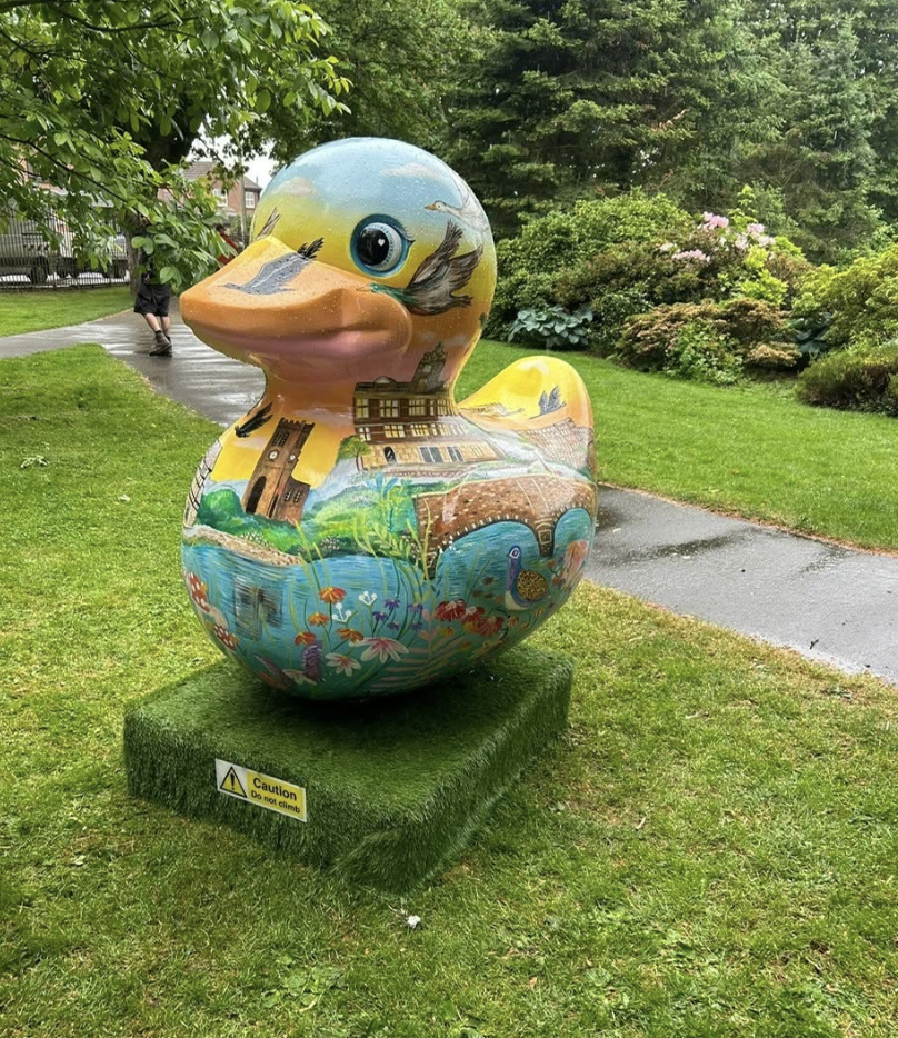 Duck