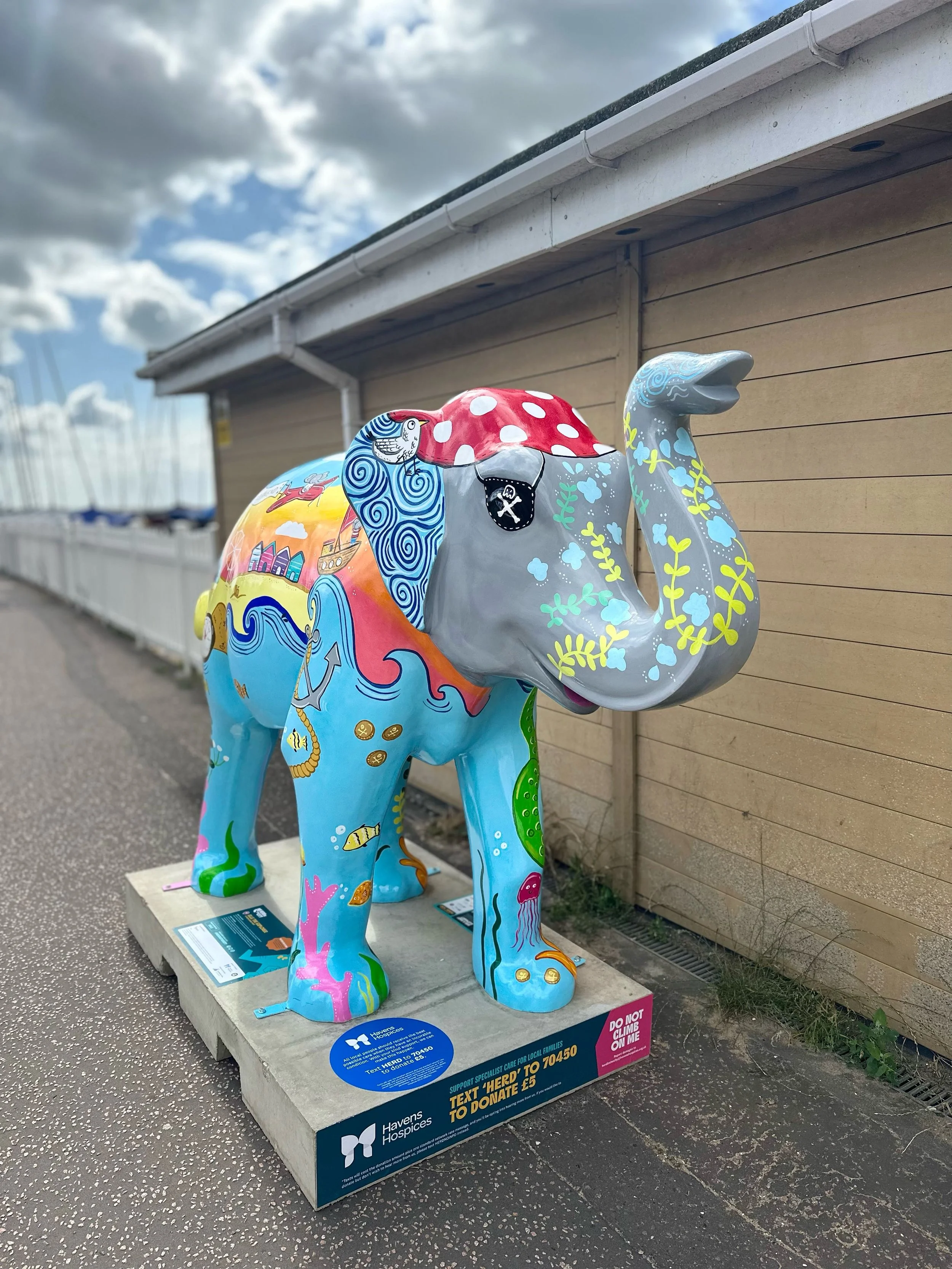 Elle the Explorer .jpg