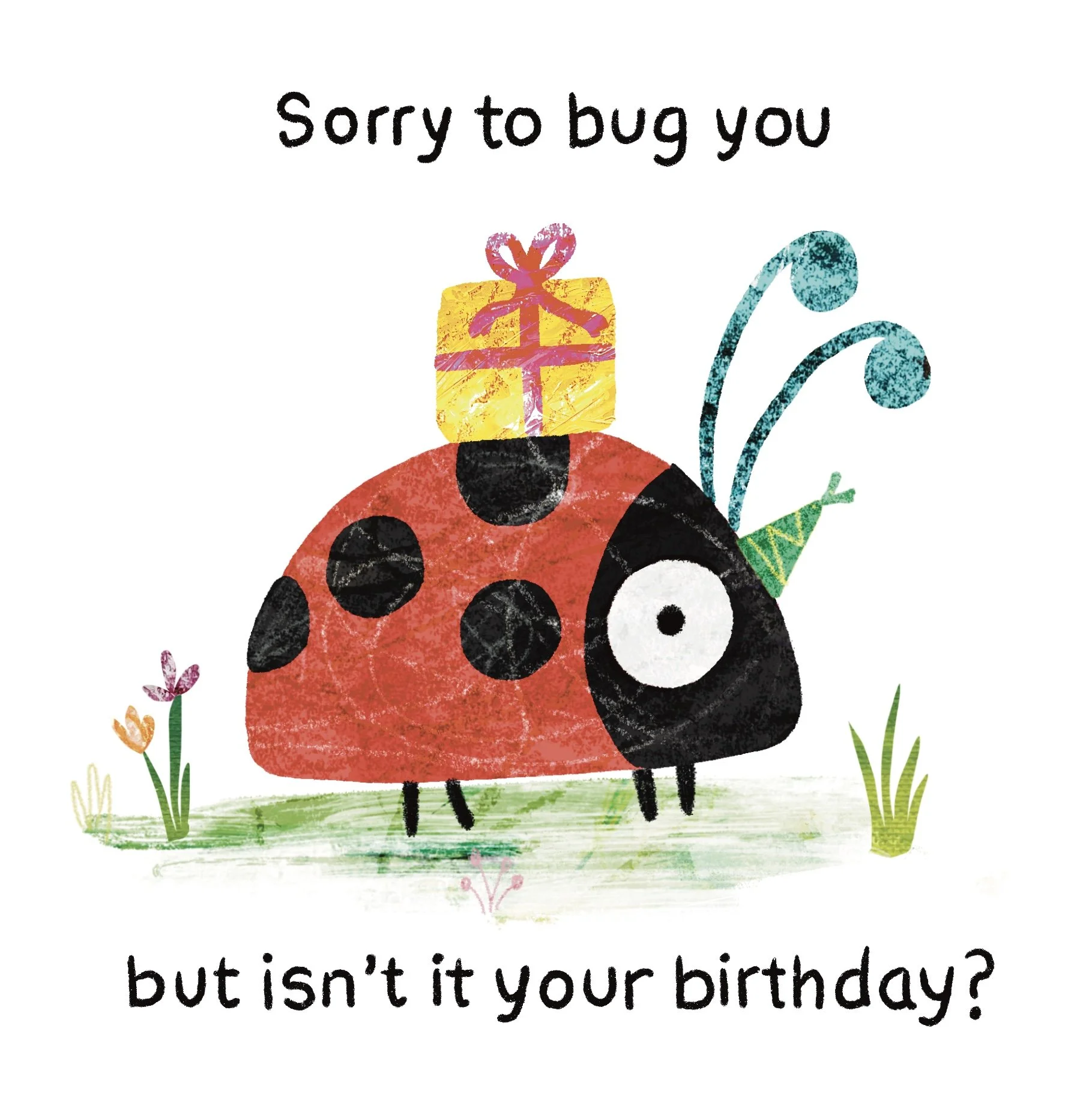 Sorry to bug you birthday card.jpg