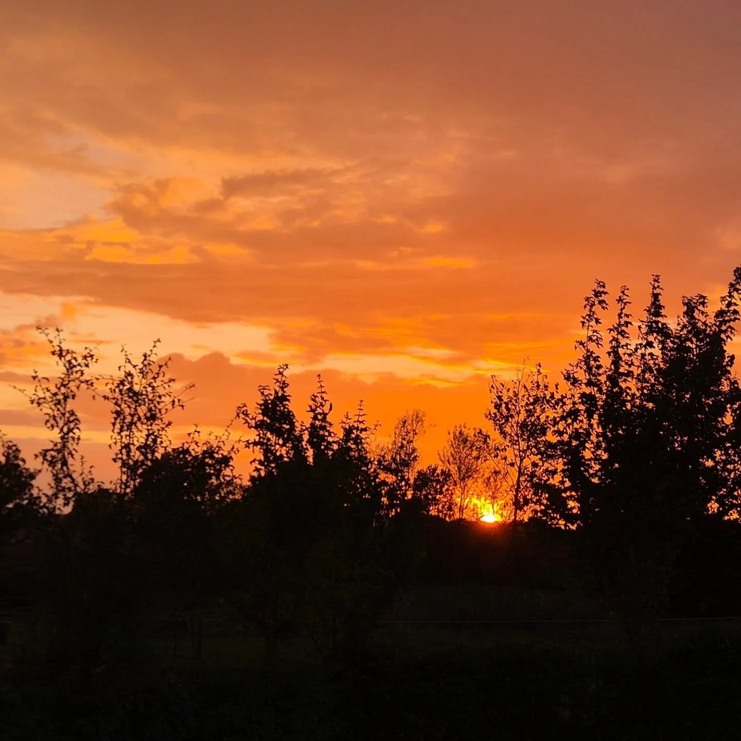 It's been a while since I posted one of our amazing sunsets and then I turned around to see a rainbow over the huts.  Well worth dashing out in the rain. 
I never cease to be amazed by the ever changing views from the huts. That's why they are called