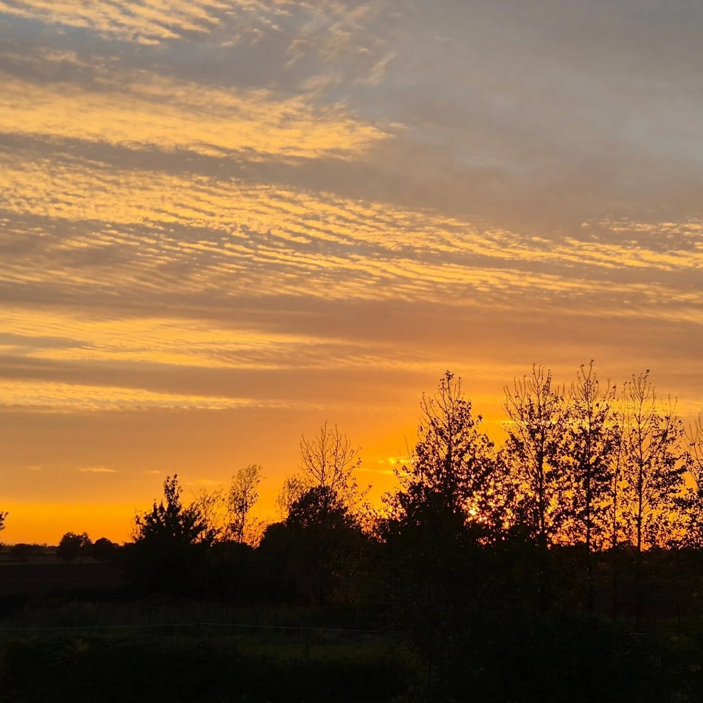 Last nights amazing sunsets, today's visit to Ipswich Marina and last week's visit to Norwich Cathedral.  So much to see in beautiful Norfolk and Suffolk. 
Why not book a stay in one of our beautiful shepherds huts. Open throughout the year with love