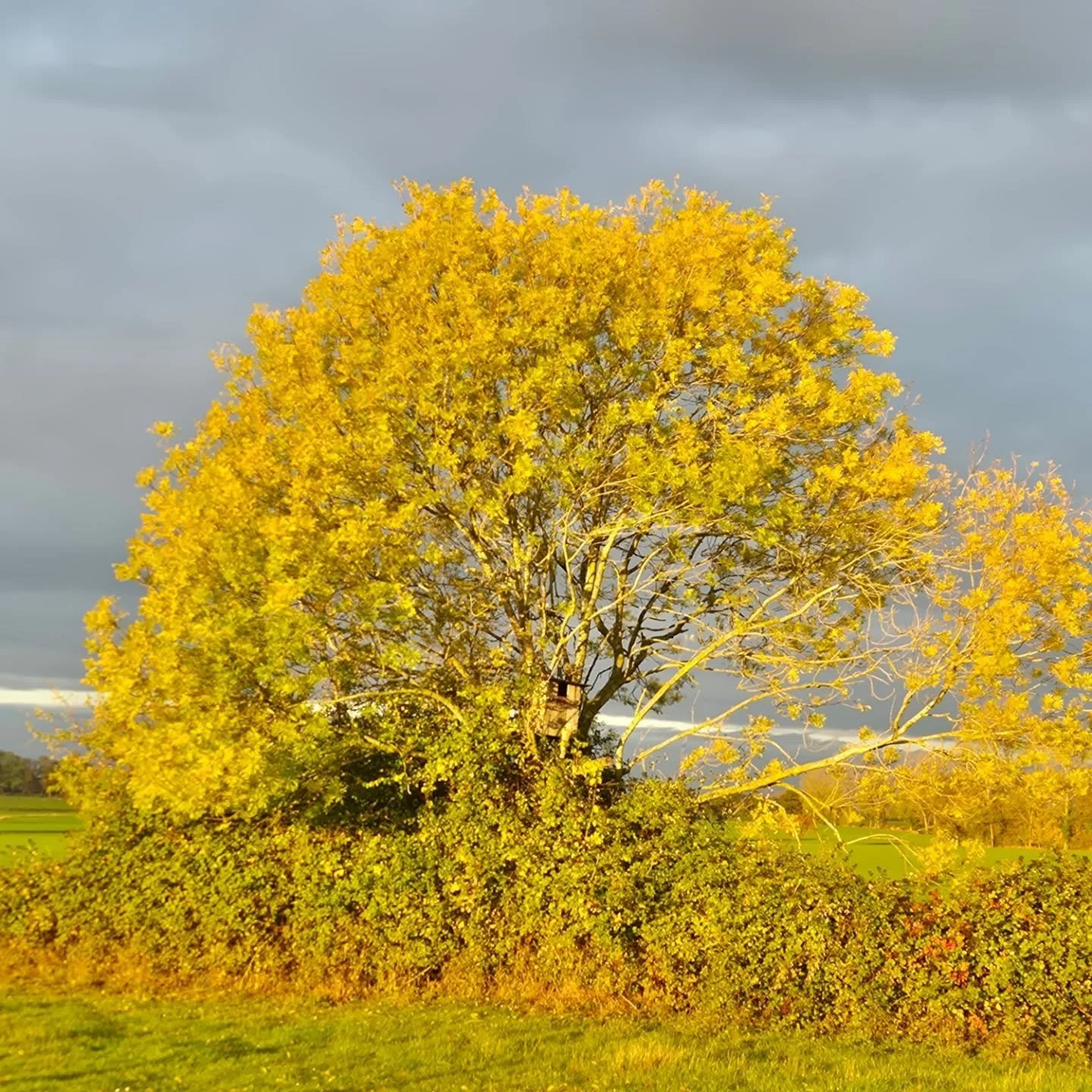 Beautiful autumn colours, dark skies and sunsets.
Autumn is such a great time to explore the great outdoors, especially when you stay at Friends Farm, which is ideally situated to explore both Norfolk and Suffolk.
When you get back to the huts you ca