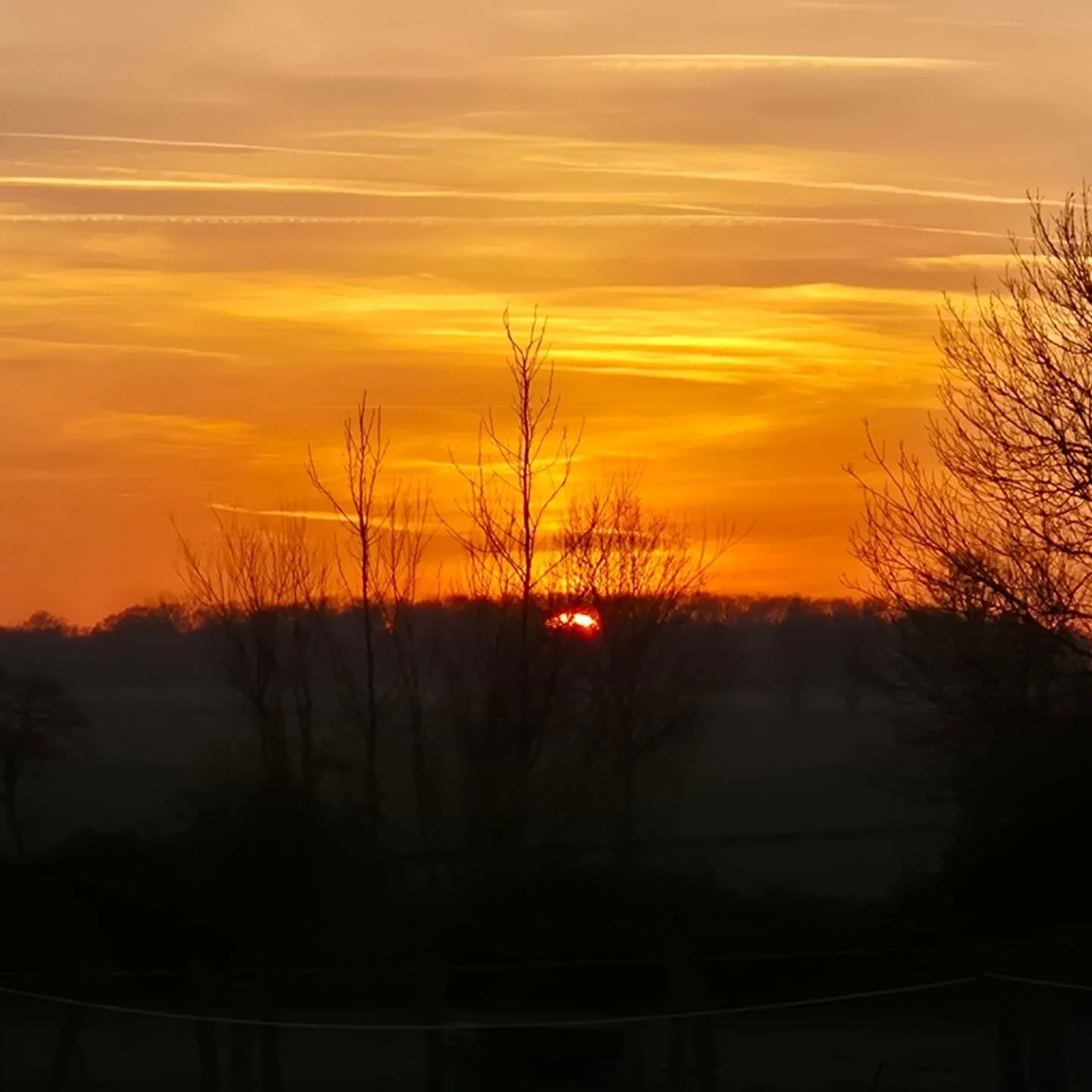 As the sun goes down on 2025, we would like to wish all our guests past and future a very Happy New Year. If you're lucky these are the views you get from the huts when you book a stay at Friends Farm.
Book direct www.friendsfarm.co.uk to see availab