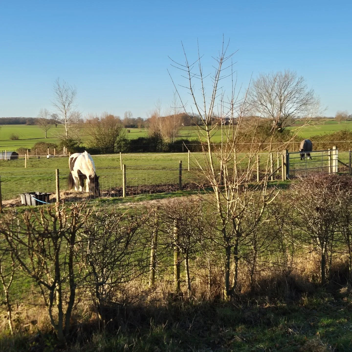 What a difference a couple of days can make.