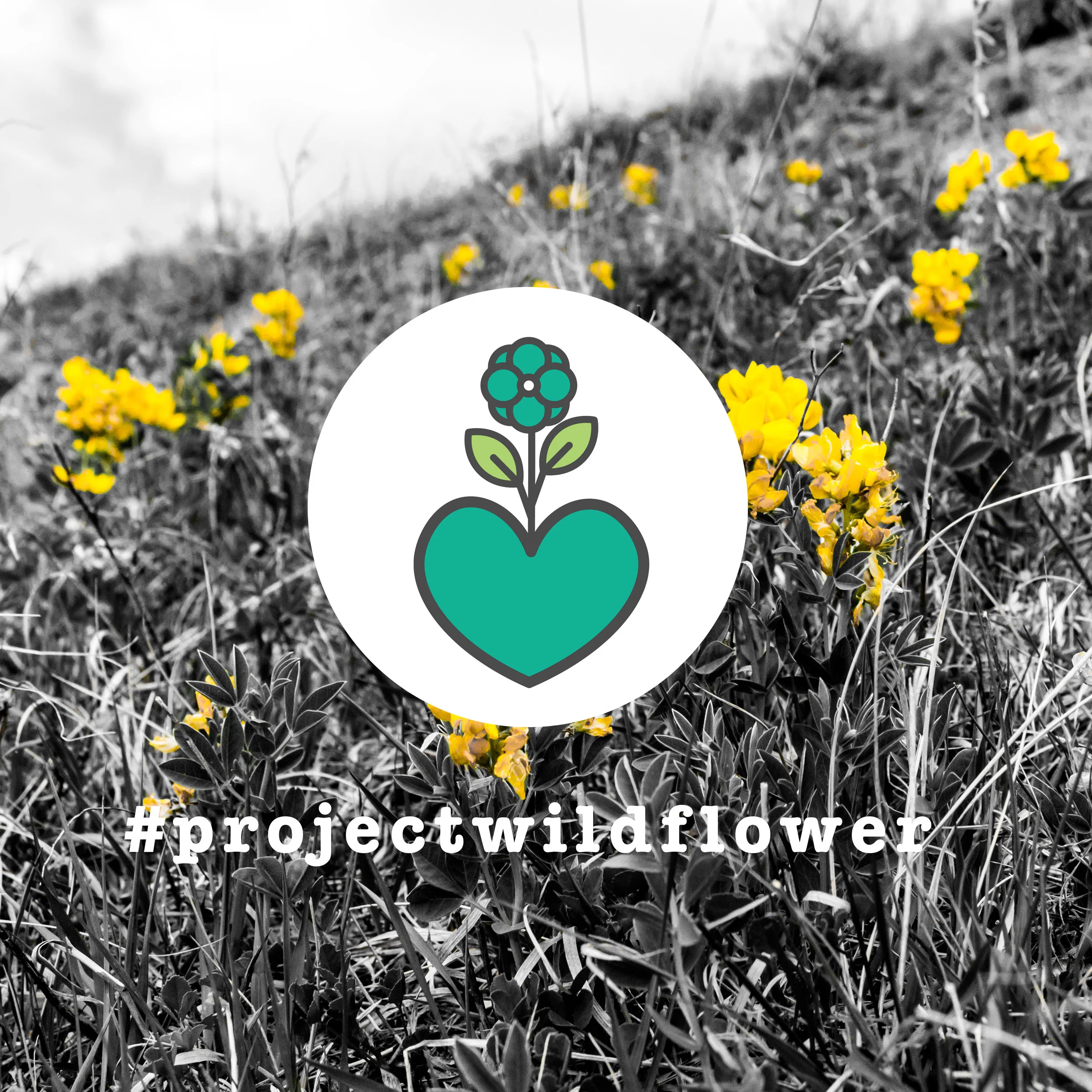ProjectWildflower-GiveBack.jpg