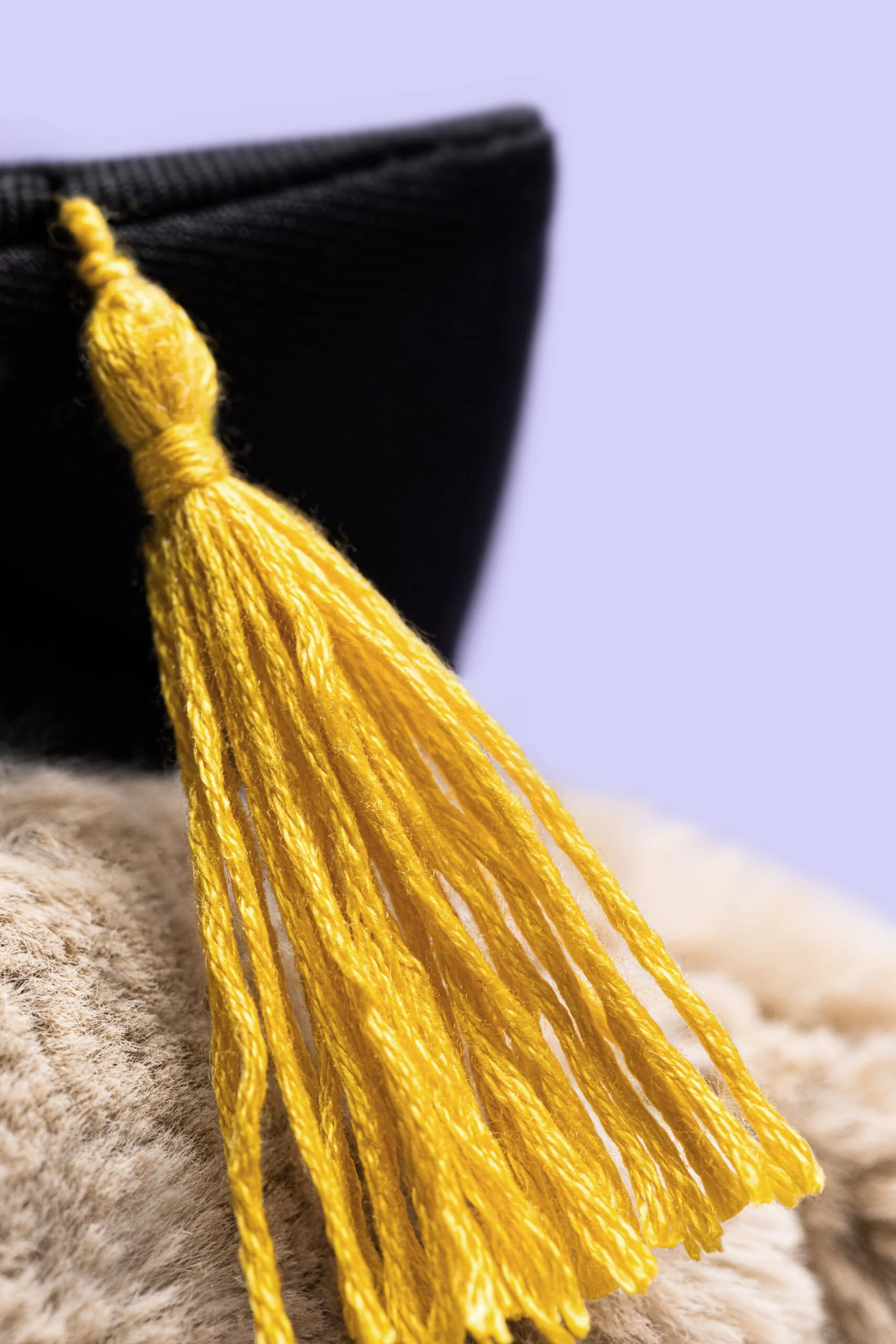 BAS3GRAD-Bashful-Bunny-Graduation-Outfit-Lilac-Detail-Shot-2-scaled.jpg