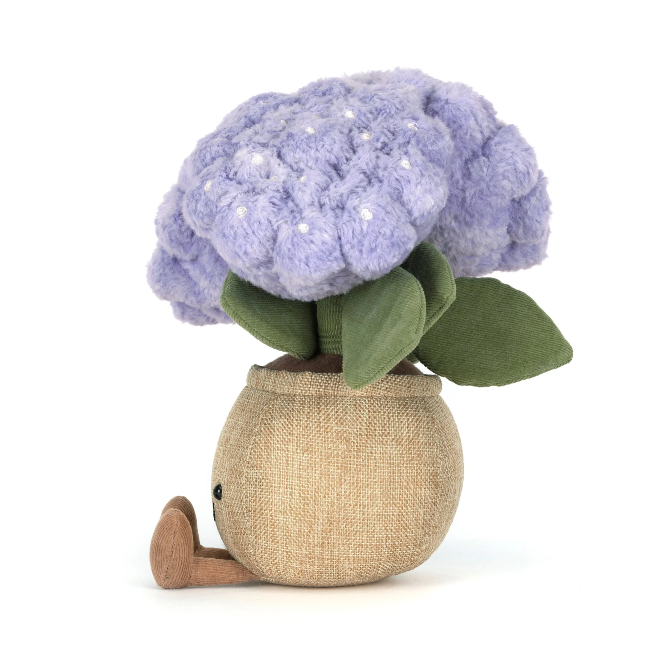 A2HYD-Amuseable-Hydrangea-2-scaled.jpg
