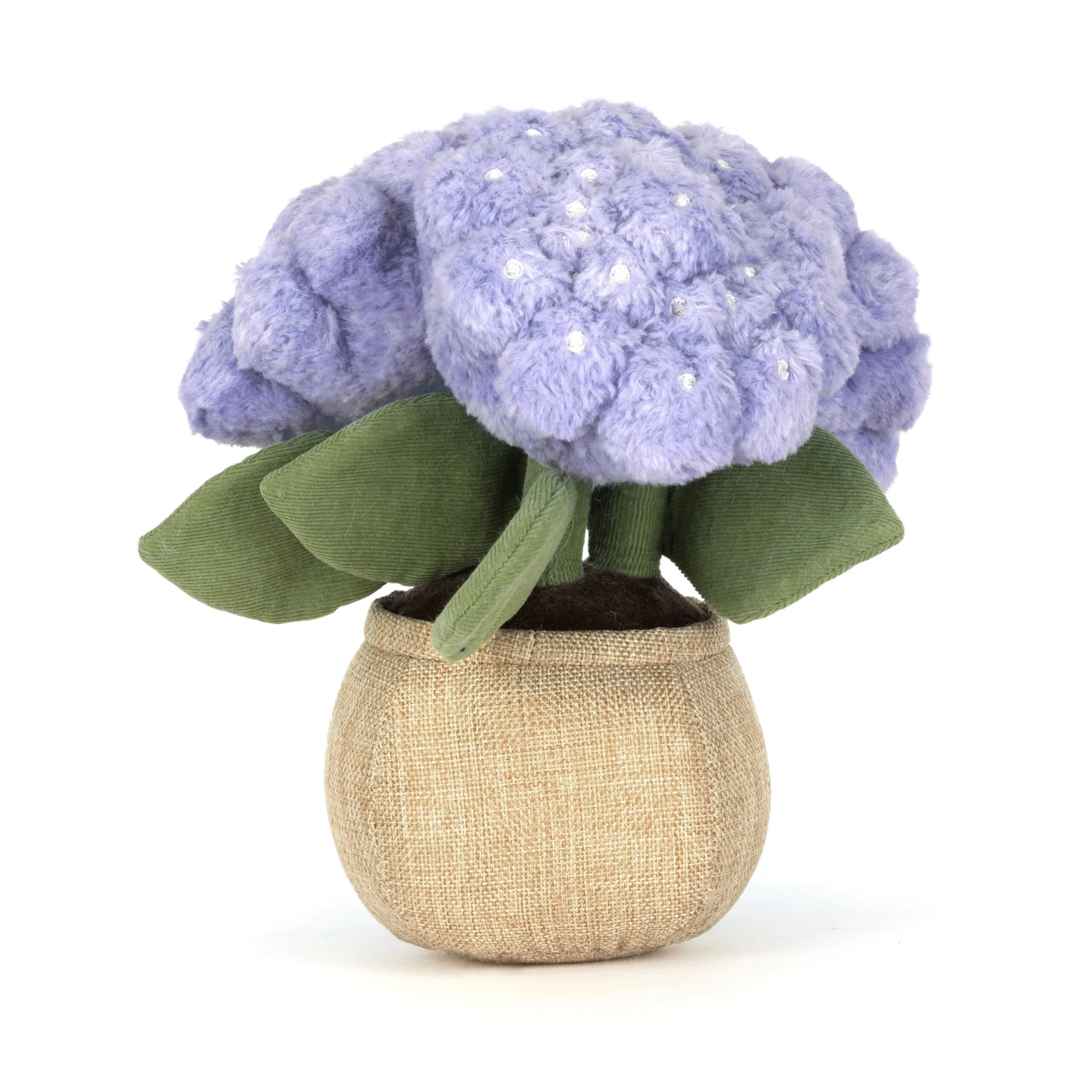 A2HYD-Amuseable-Hydrangea-3-scaled.jpg