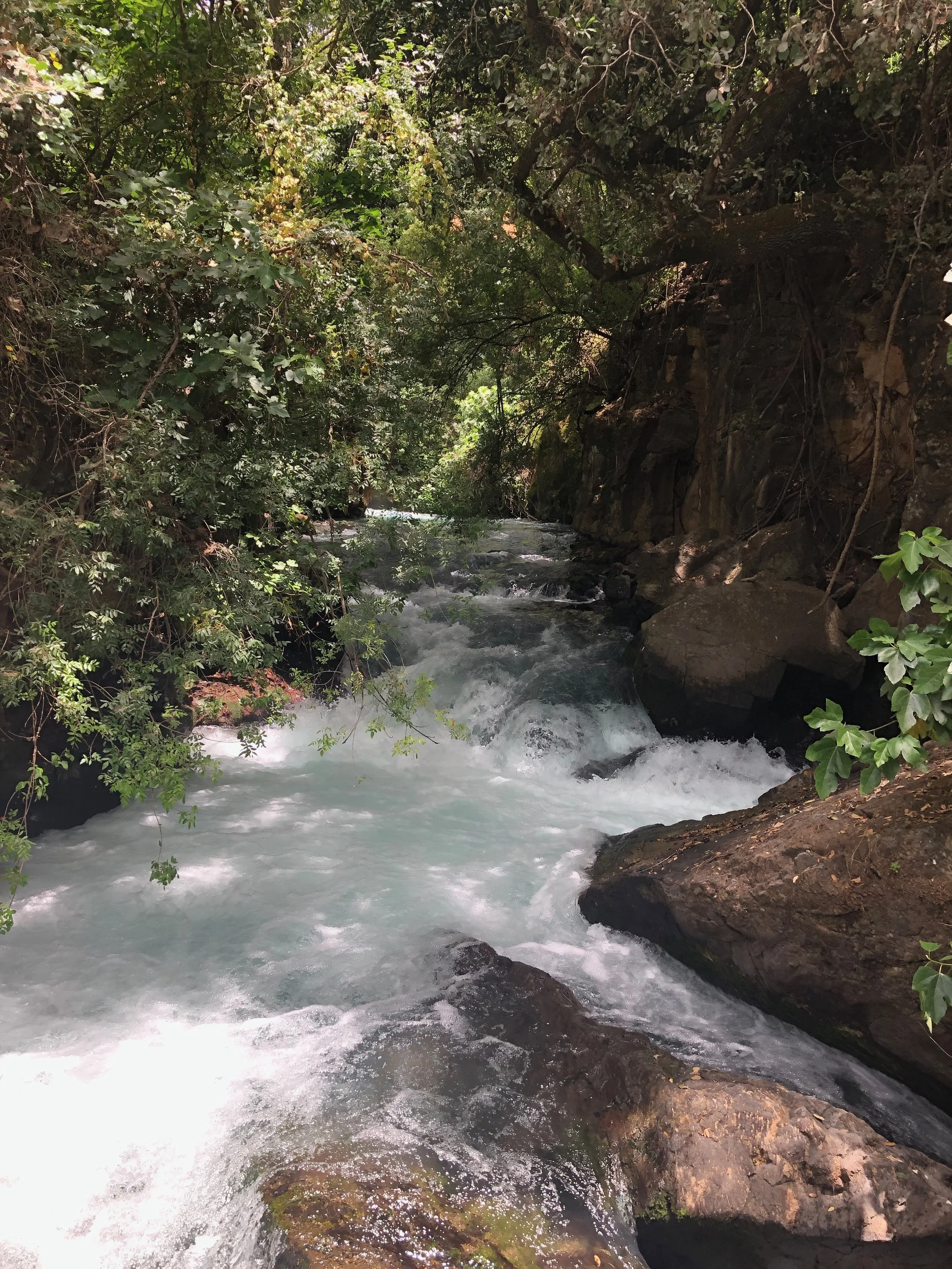 IMG_9714.jpeg