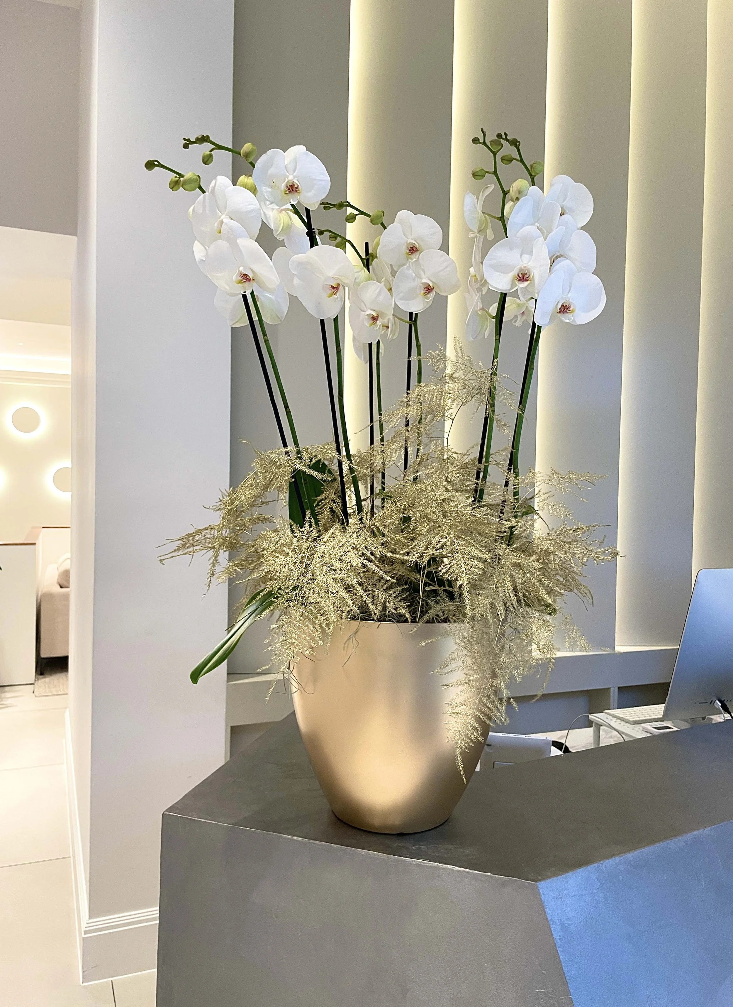 Corporate Office, Spa and Hotel Orchid Planters.jpg