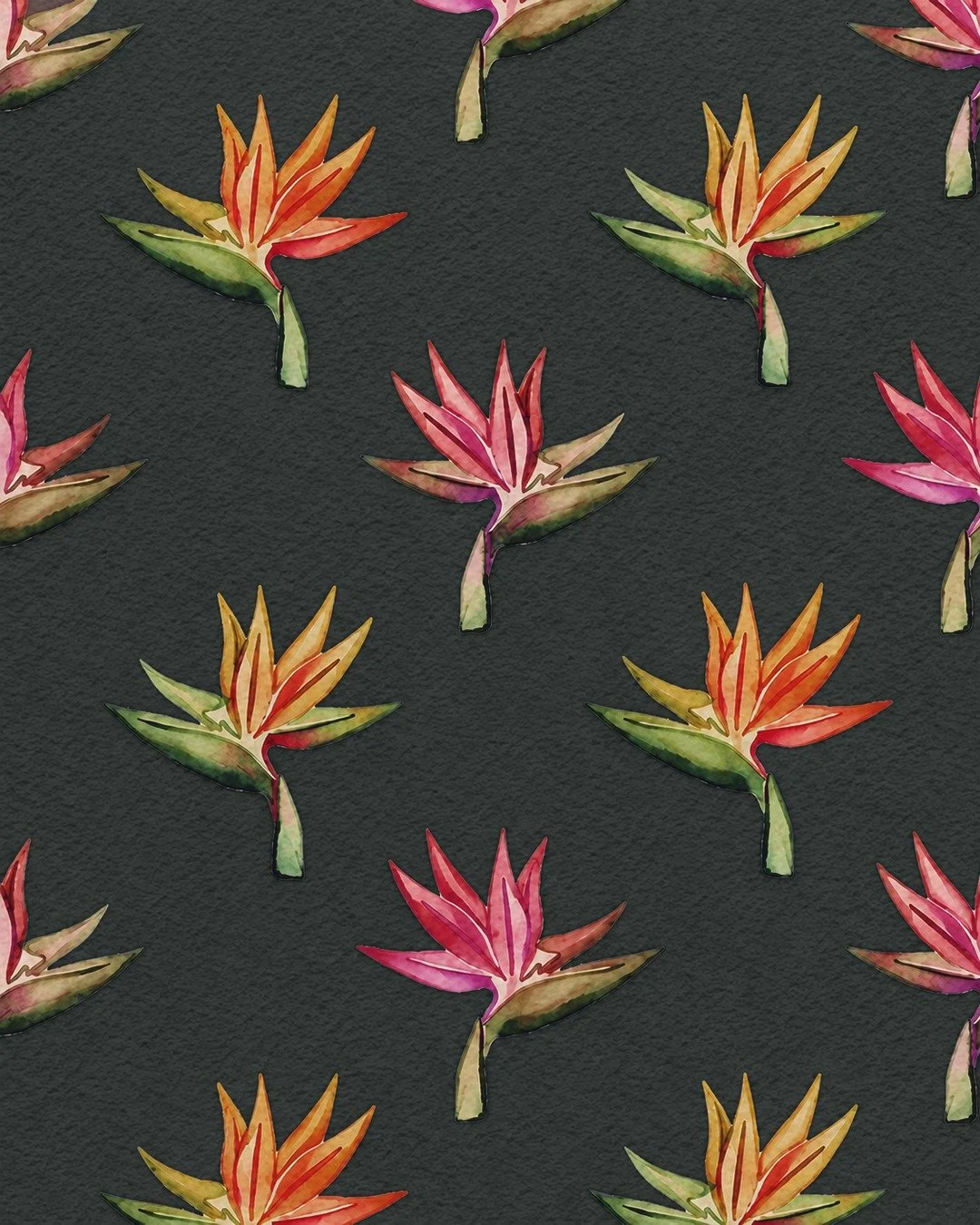 Bold, distinctive and impossible to overlook.

The Bird of Paradise reflects the spirit of Contract Flowers.

Vibrant, architectural and designed to make an impact, it represents our approach to floral design: creating displays that transform spaces,