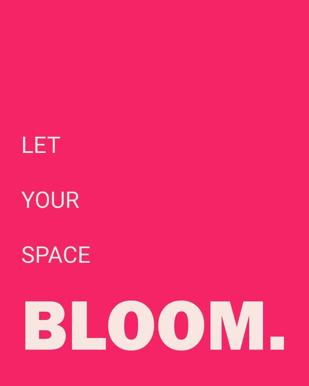 Let your space bloom.

Transforming commercial spaces with fresh flowers, thoughtfully designed to bring colour, character and impact to the places where people work, meet and stay.

From weekly office flowers to hotels, hospitality and corporate spa