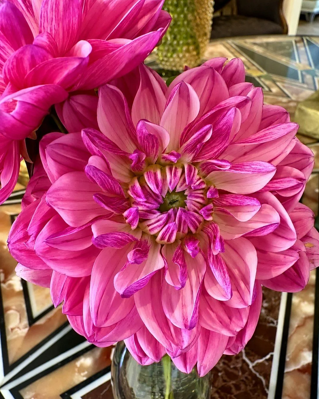 Designed to be seen from every angle.

A hotel arrangement has to work at a distance, up close and from every route through the space. Scale gives it presence; detail gives guests something to notice.

Weekly hotel flowers by Contract Flowers&reg;.

