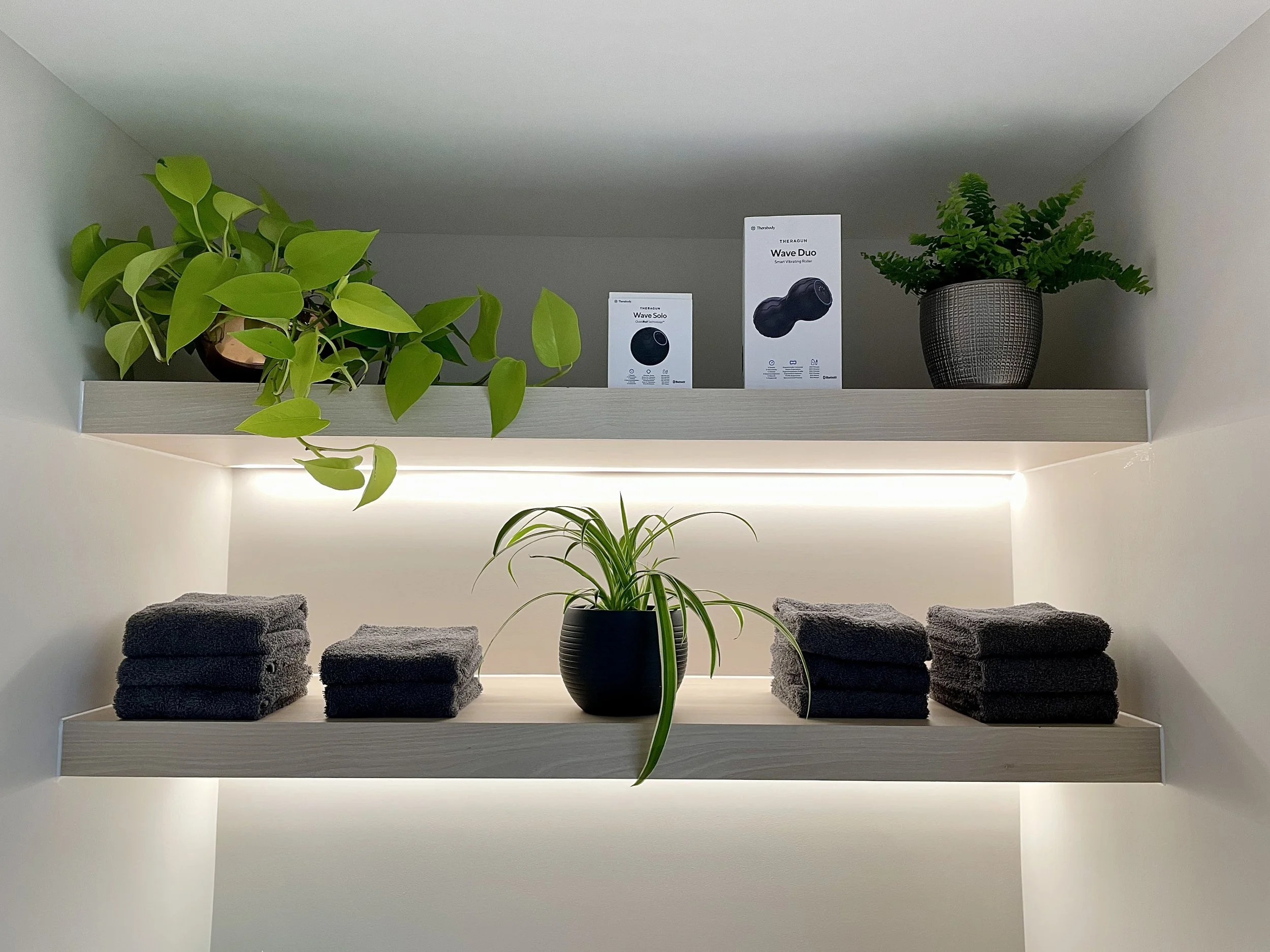Spa & Gym Plants - Central London