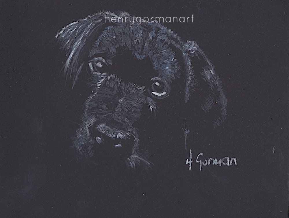 'Pup'