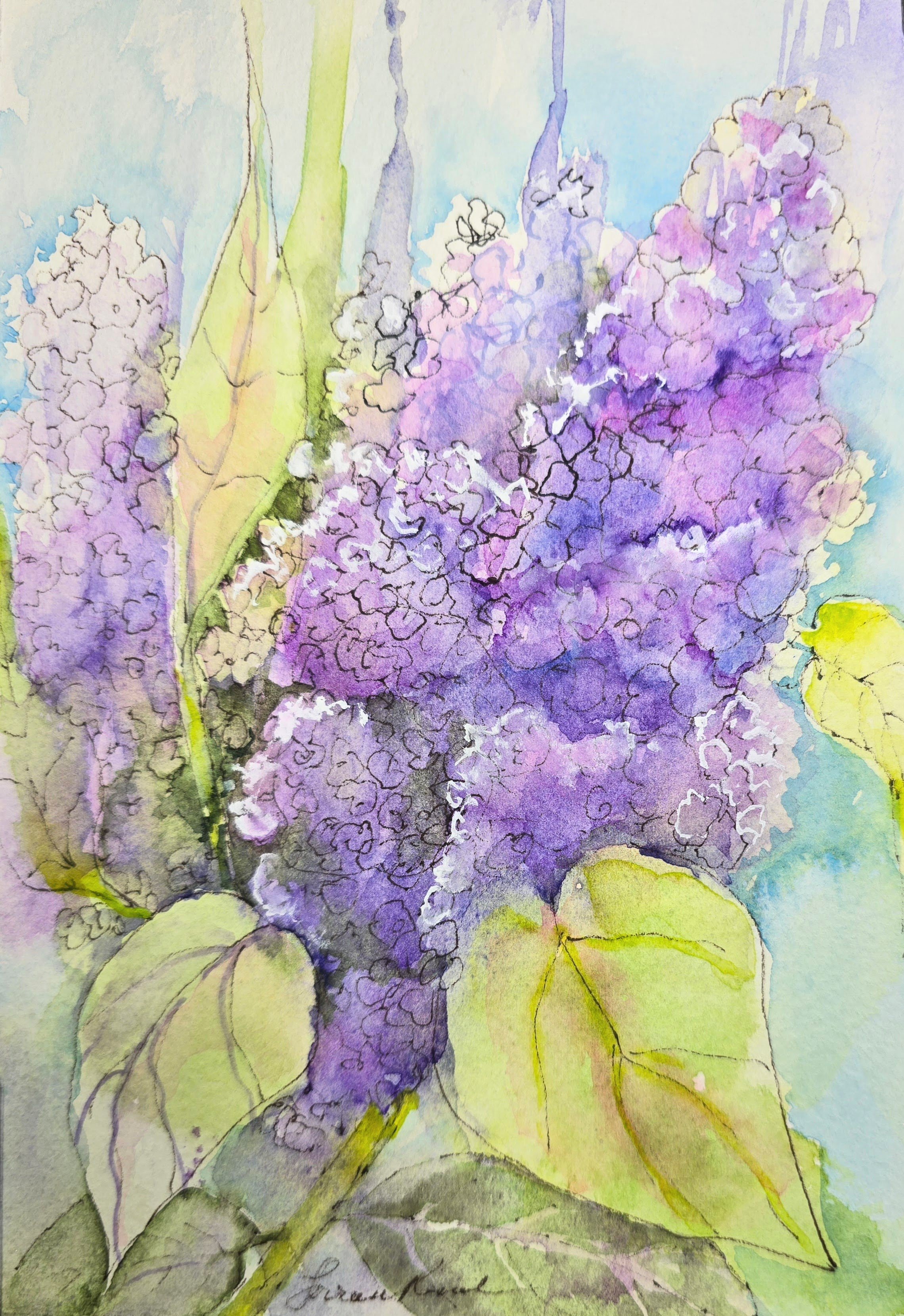 20241214_181515 (2).jpg