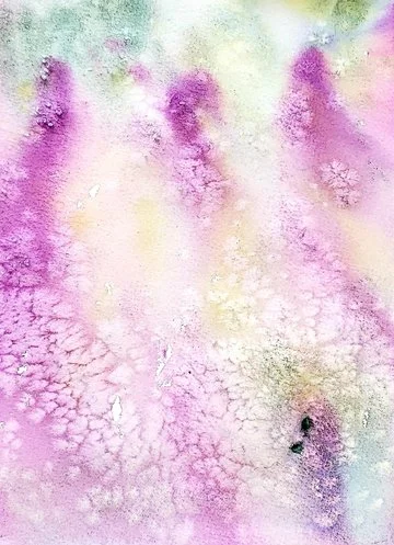 NP FLOWERS 5A_.jpg