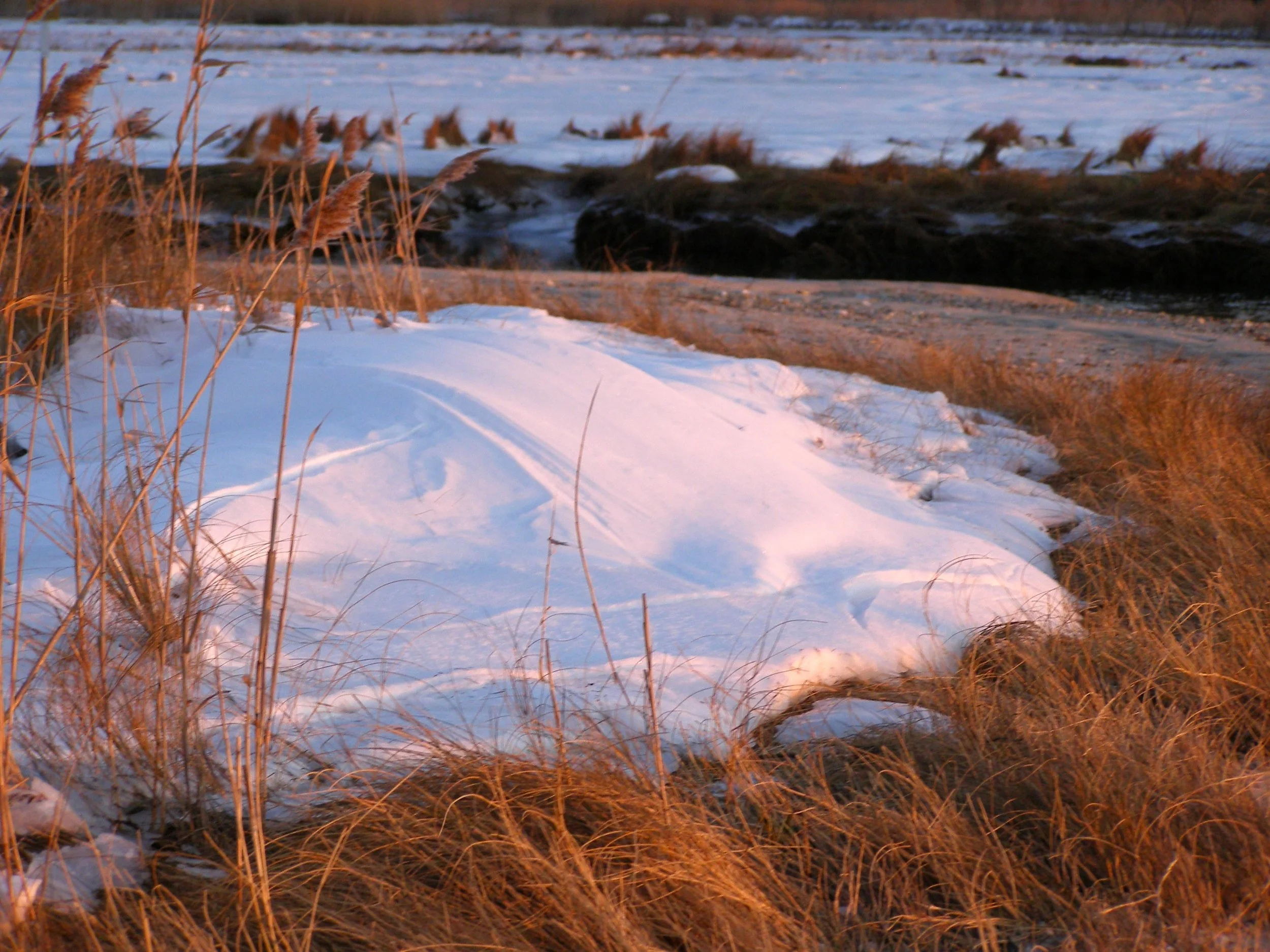 WINTER SHADOWS 01.JPG