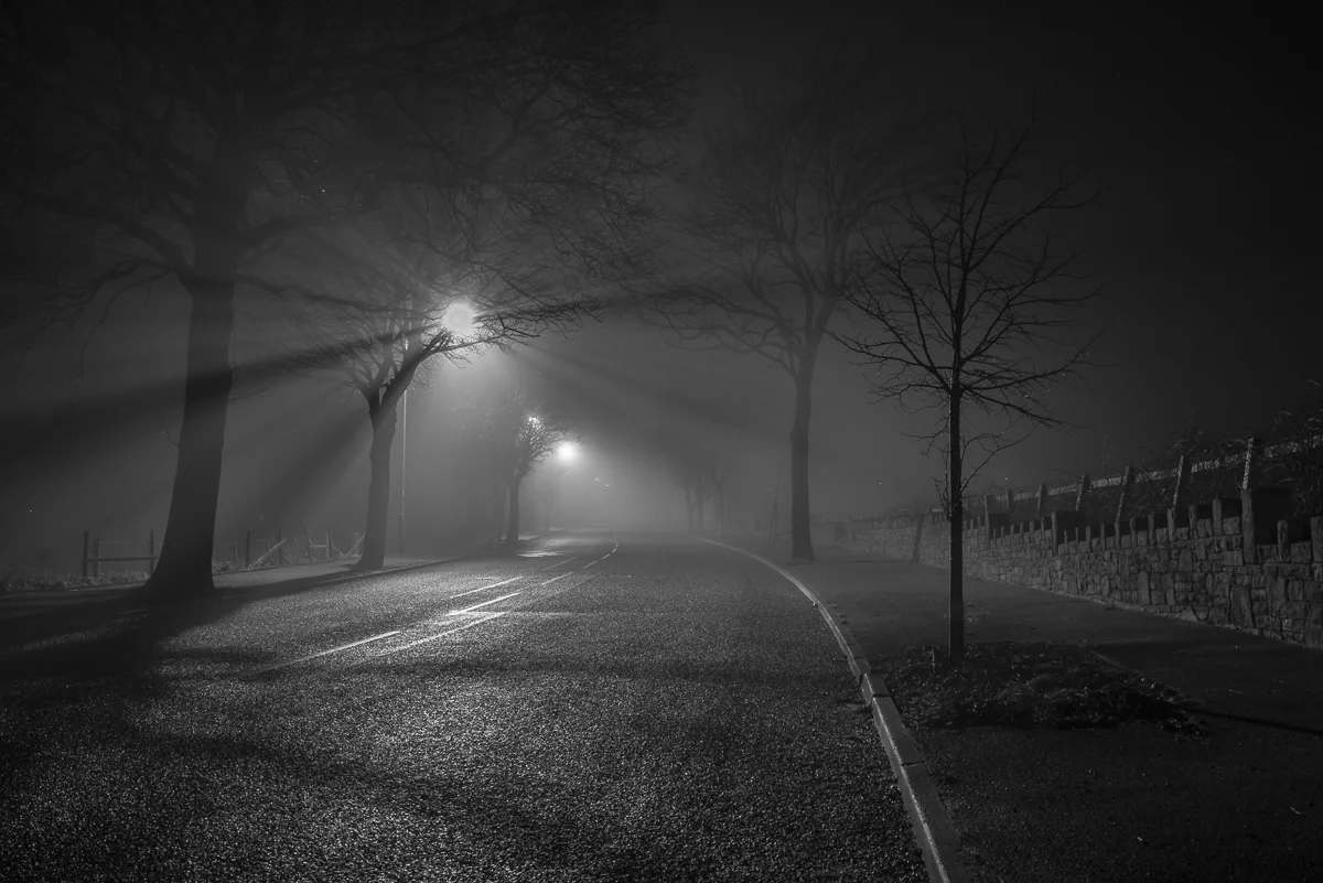 fog-1 copy.jpg
