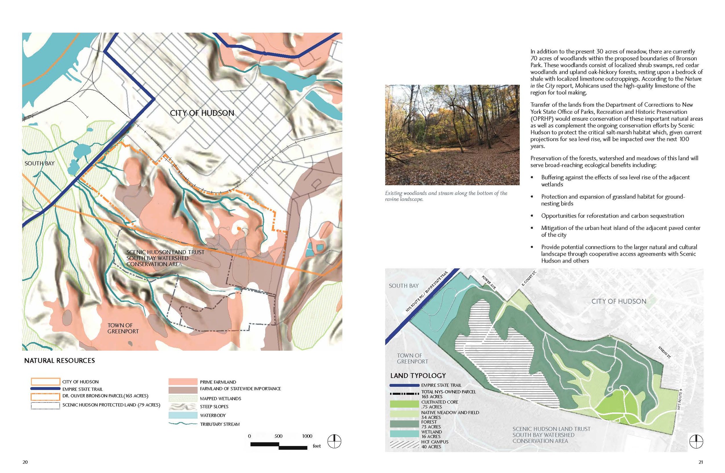 Bronson_Park_Vision_Report_FORSCREEN_lr (1)_Page_11.jpg