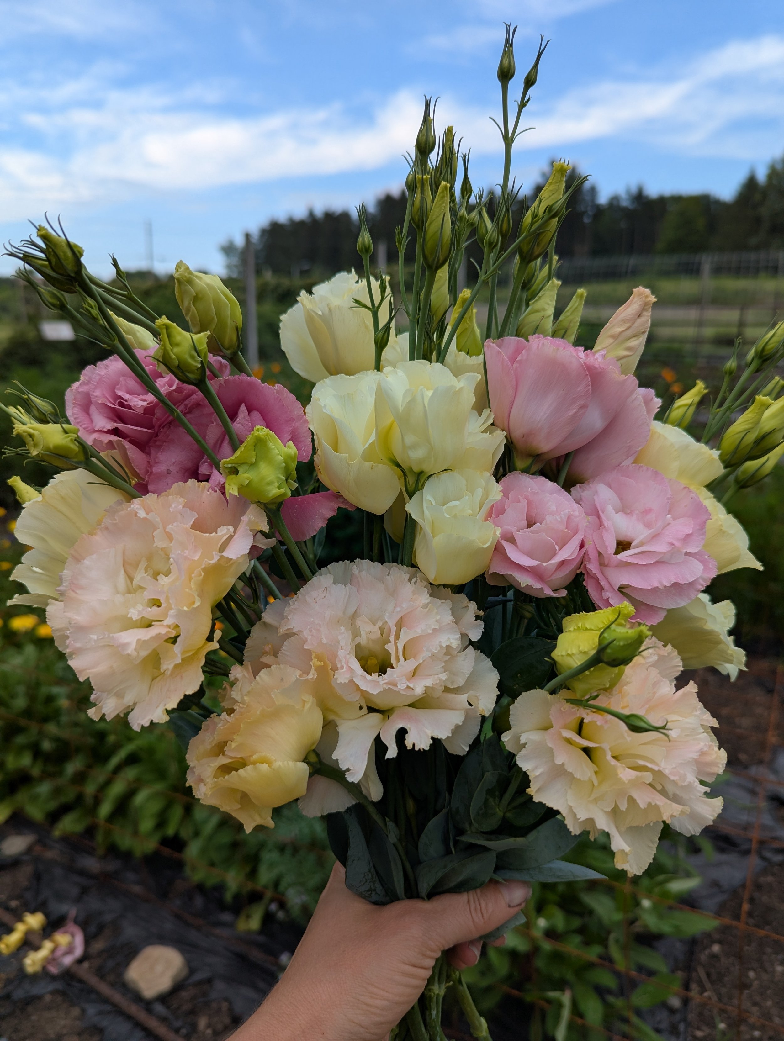 farm wedding venue bouquet ithaca ny.jpg