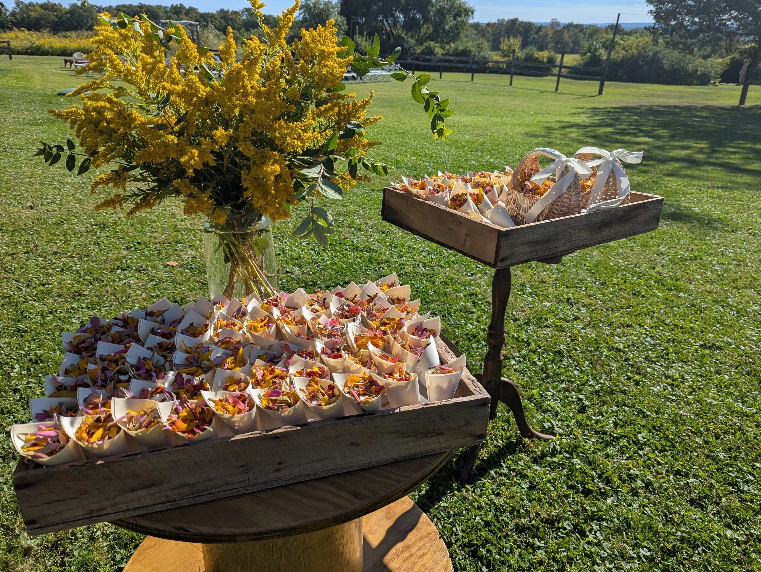 ceremony ithaca ny wedding.jpg