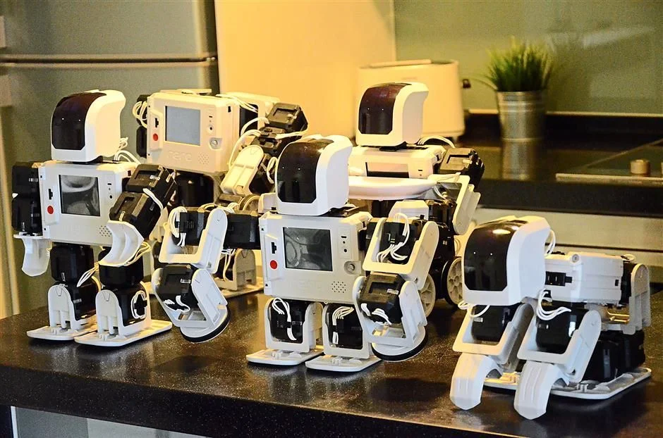 Rero-robots.jpg