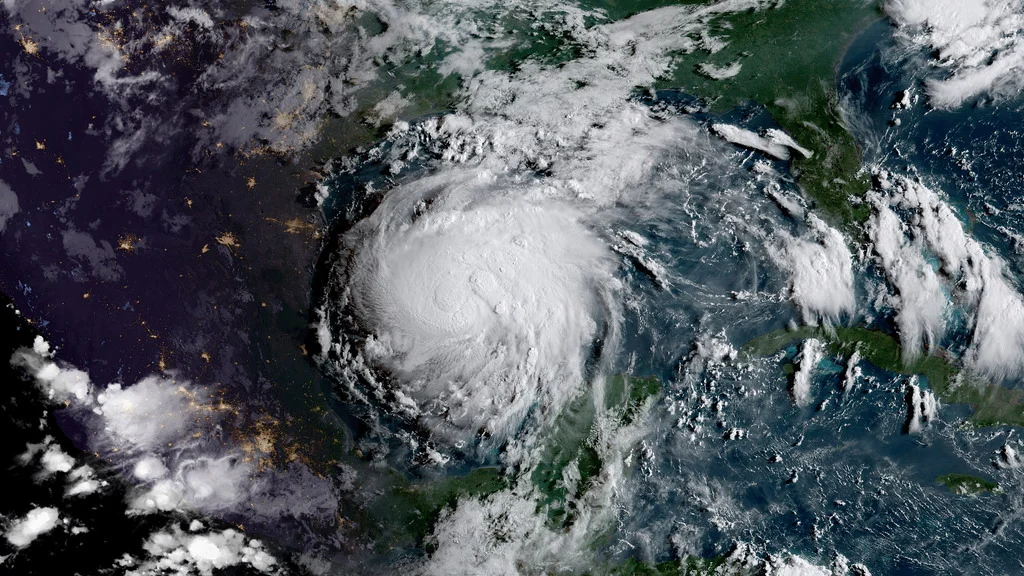 35973025253_35764fd808_b.jpg