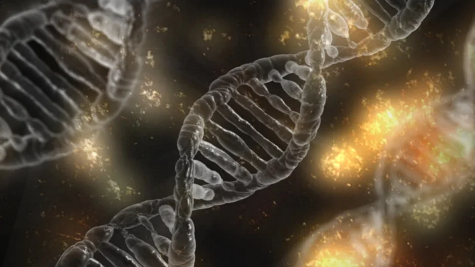 dna-1903318_960_7200.jpg