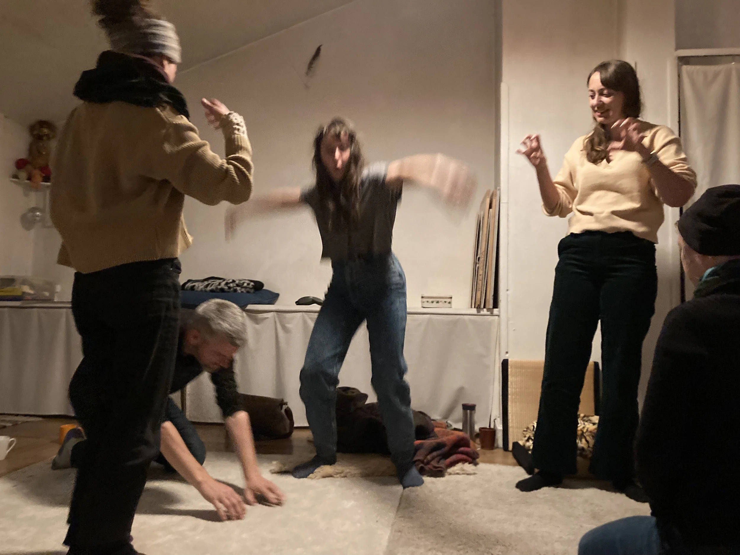 Workshop : Schattenarbeit - Fokus: Projektion