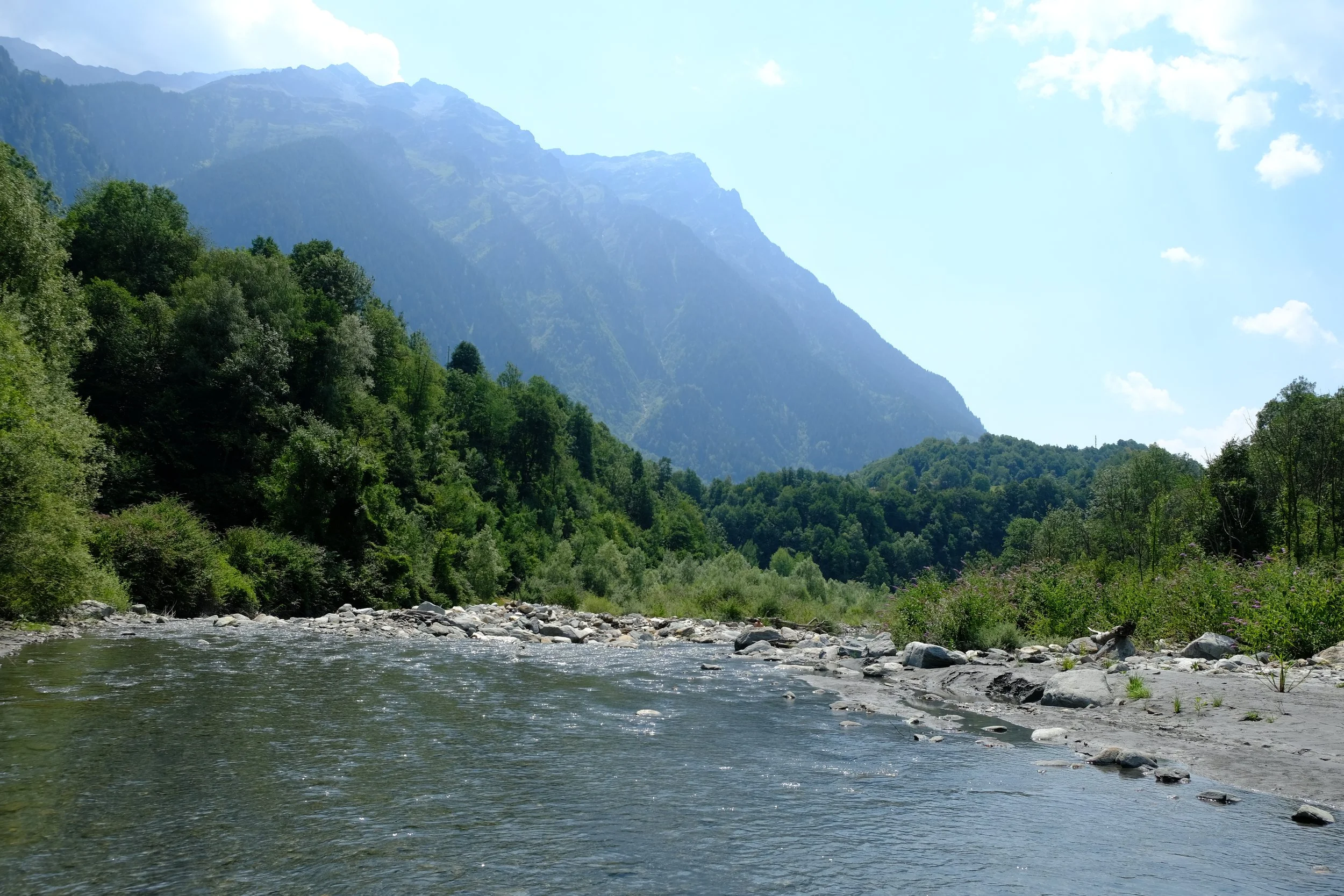 Workshop : Essenz &amp; Spiritualität - Fokus: Präsenz