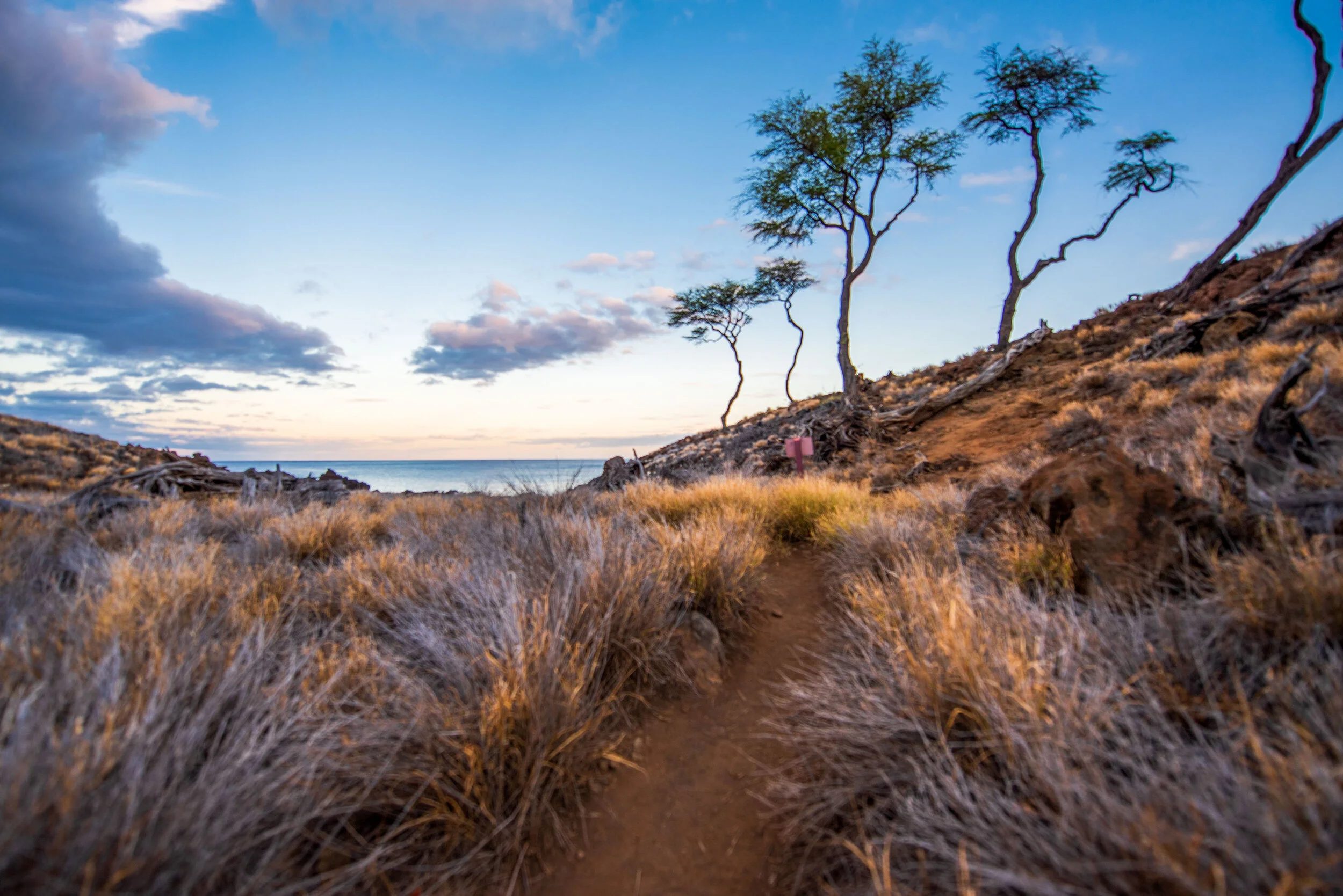 _DSC1050 copy-1.jpeg