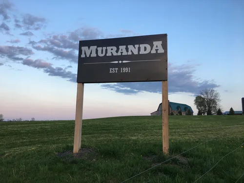 Shop Cheese | Discover Premium Cheese—Shop Now — Muranda Cheese Company