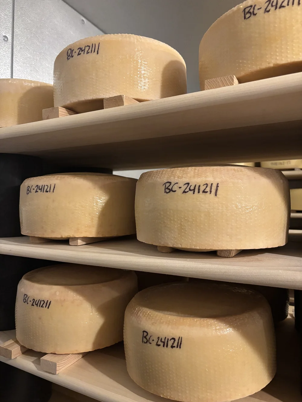 Bel Ciello — Muranda Cheese Company