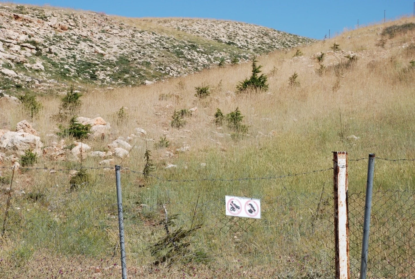 Ehden Reforestation Project