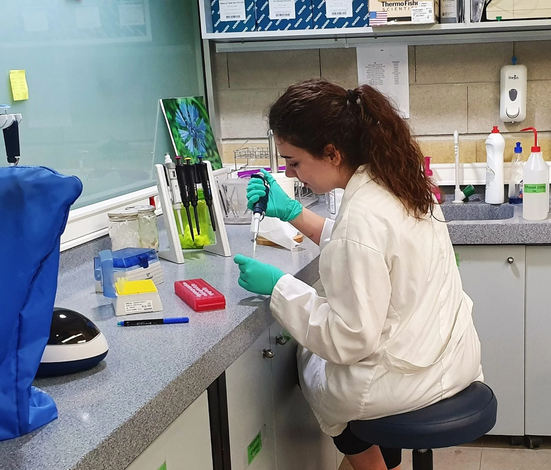 Studying Ecosystems using DNA metabarcoding
