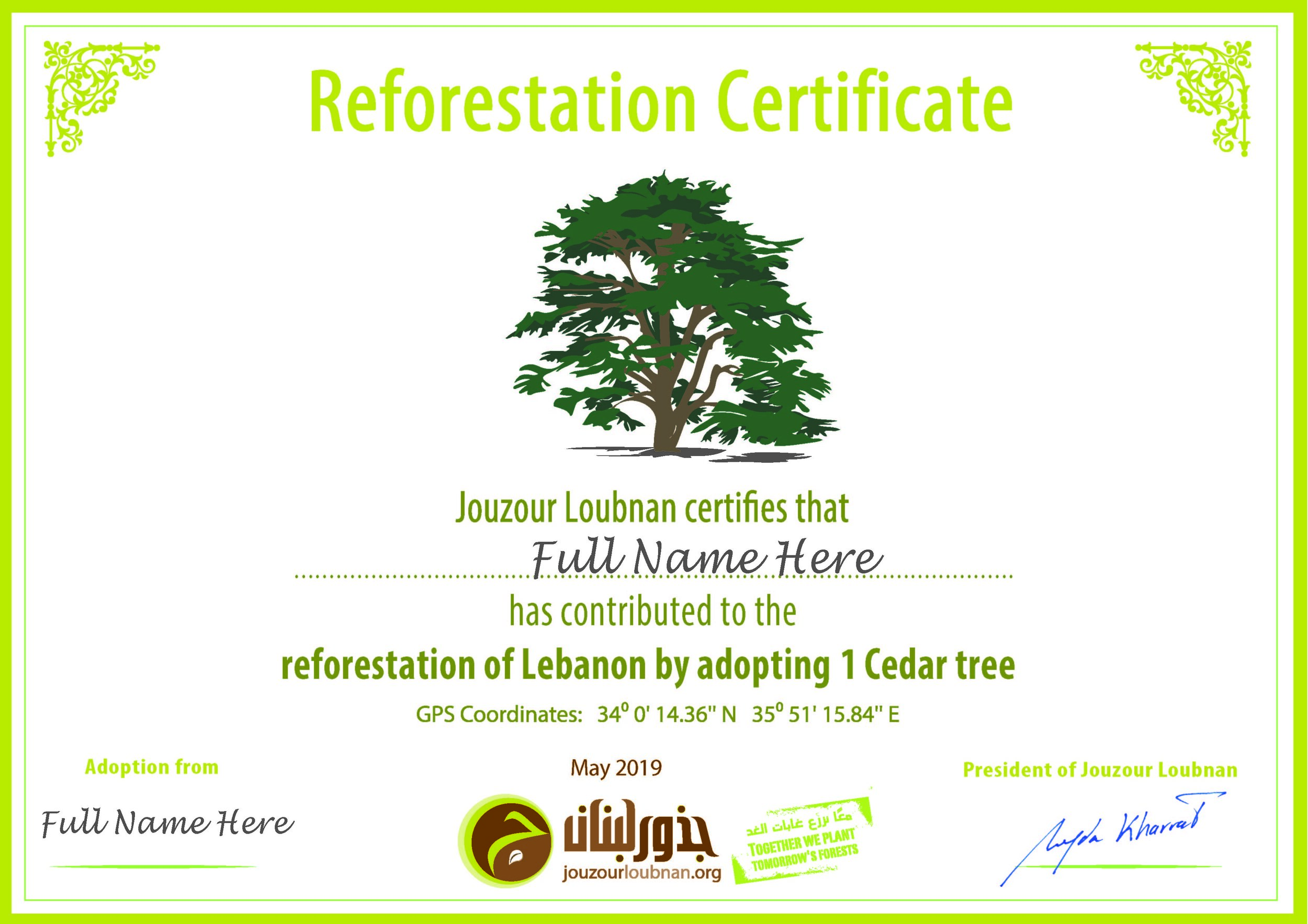 Standard Certificate Jouzour Loubnan Adopt a Cedar Lebanon.jpg