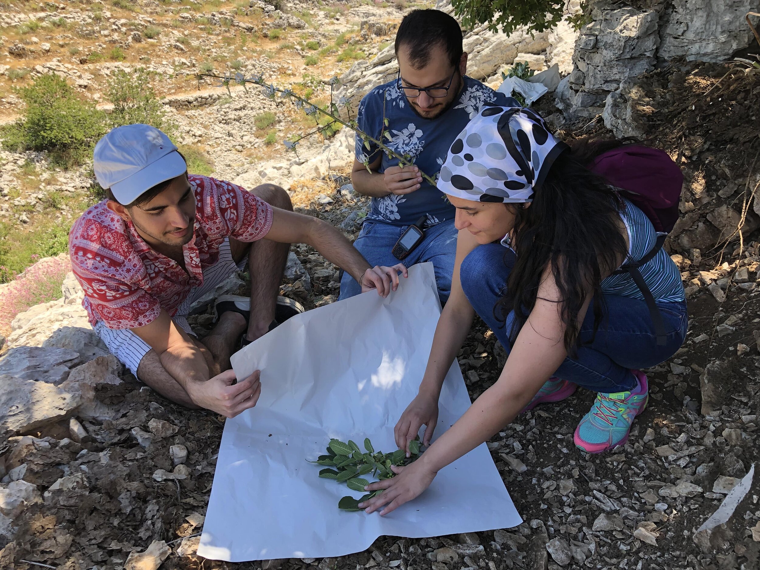 Students training on site - Herbarium sampling