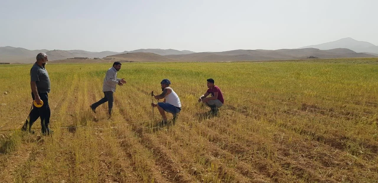 Aarsal Nursery_Jouzour Loubnan (3).jpeg