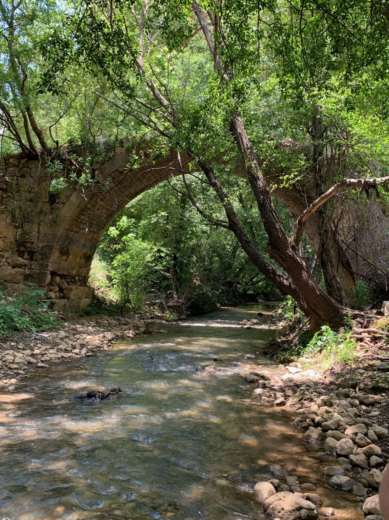 La vallée de Bisri : havre biologique ou site banal à démolir sans regret ?