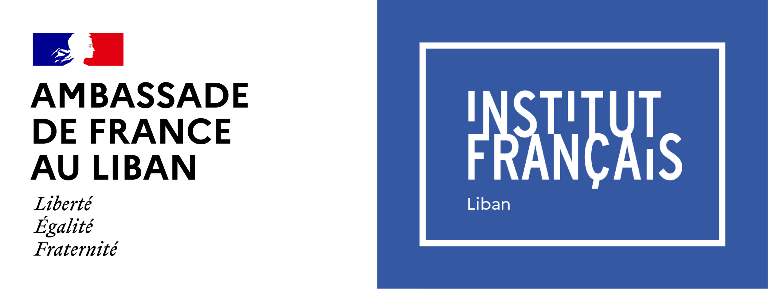 double-logos-ifl-ambassade-WqcdNx2RMk.png