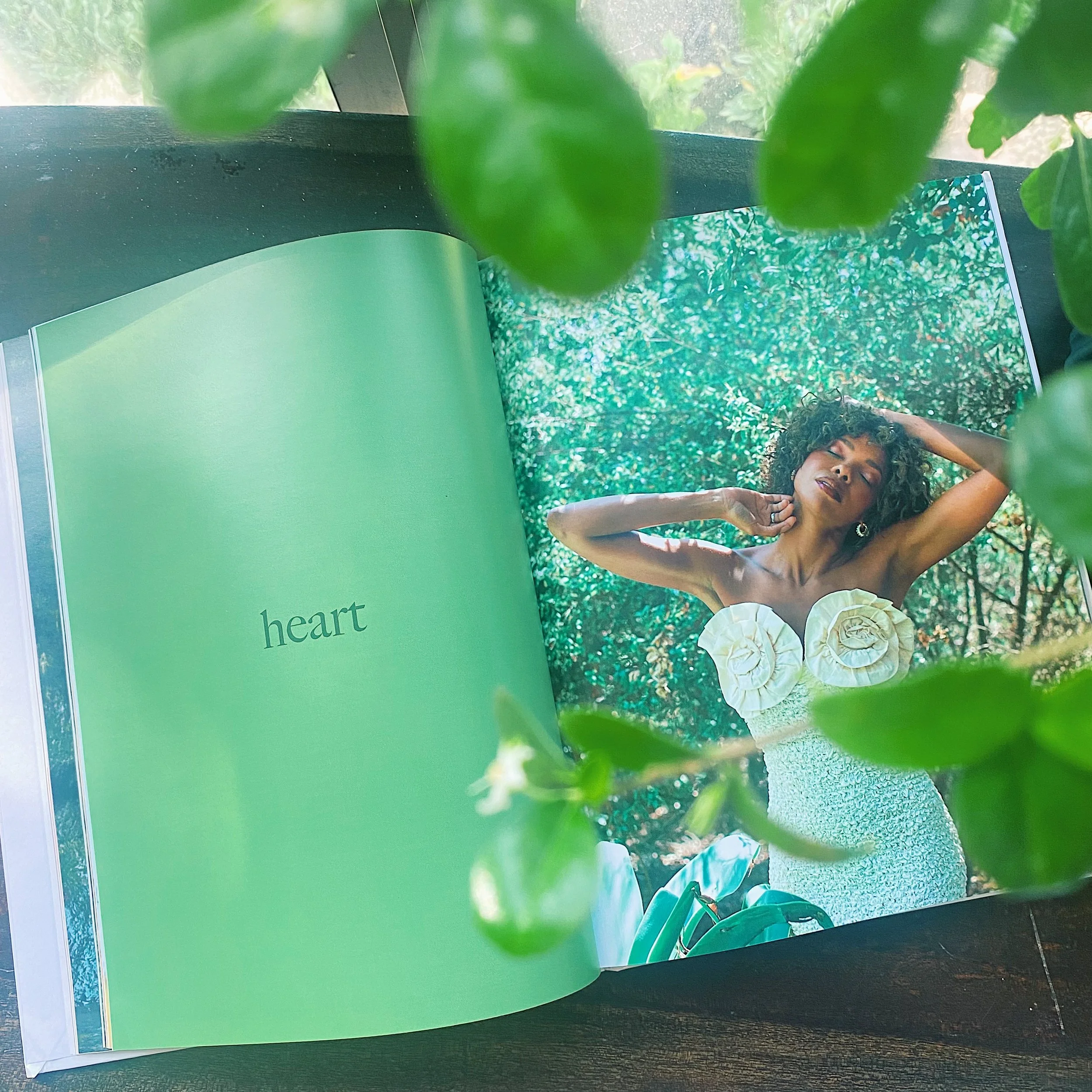 FullSizeRender_VSCO 31.JPG