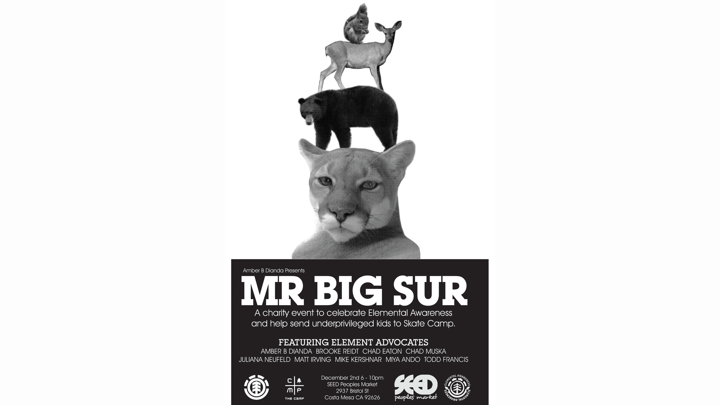 Mr. Big Sur charity flyer