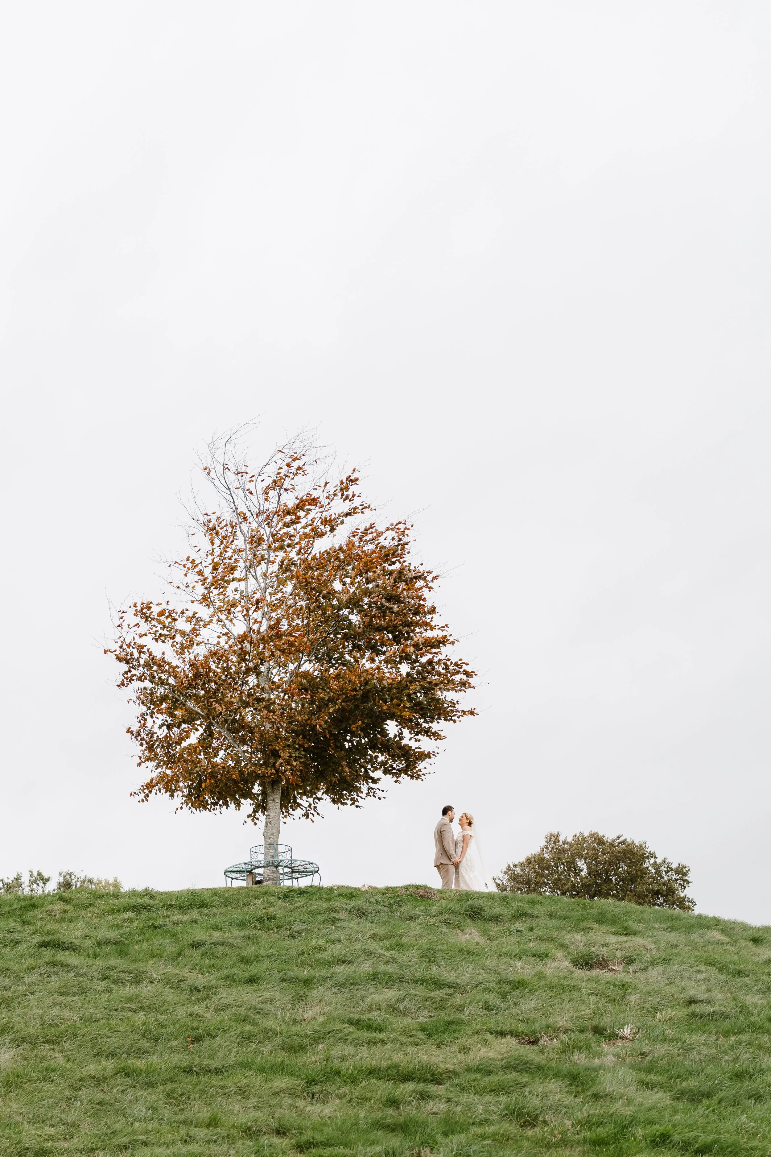 A couple dressed in wedding attire standing under a large tree with orange and brown leaves on a grassy hill, overcast sky in the background.