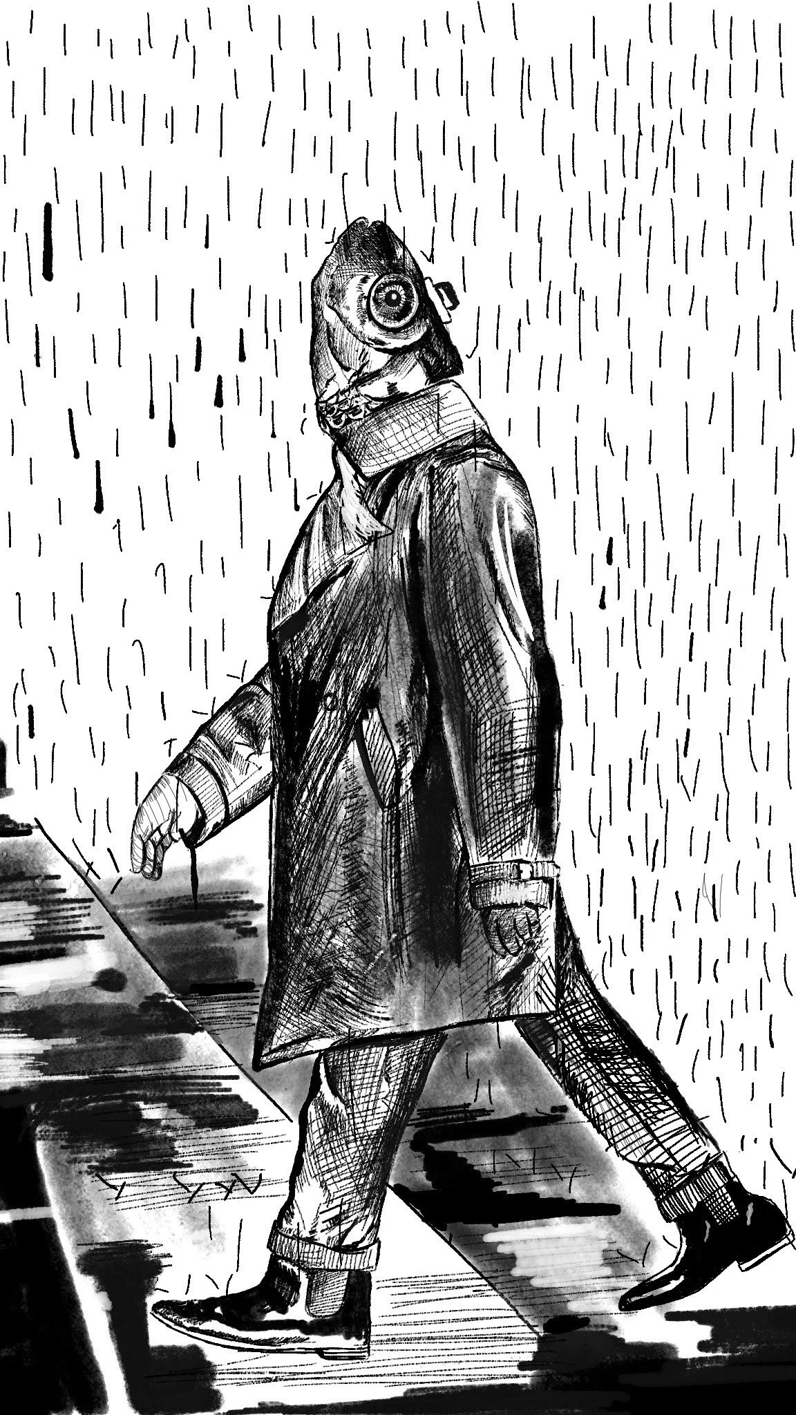 Mr. Fish